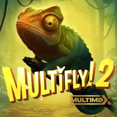 MultiFly! 2 slot